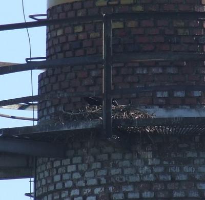 Прикрепленное изображение: sm999-2.jpg